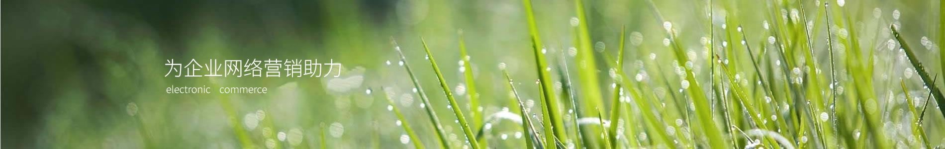 ޵ӿƼ޹˾